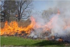 Հրդեհներ խոտածածկ տարածքներում